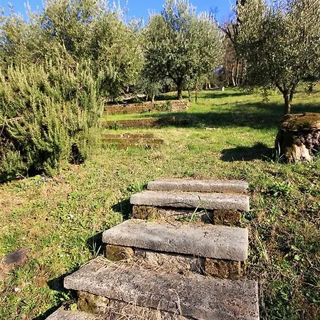 Apartment Casale Manzoni